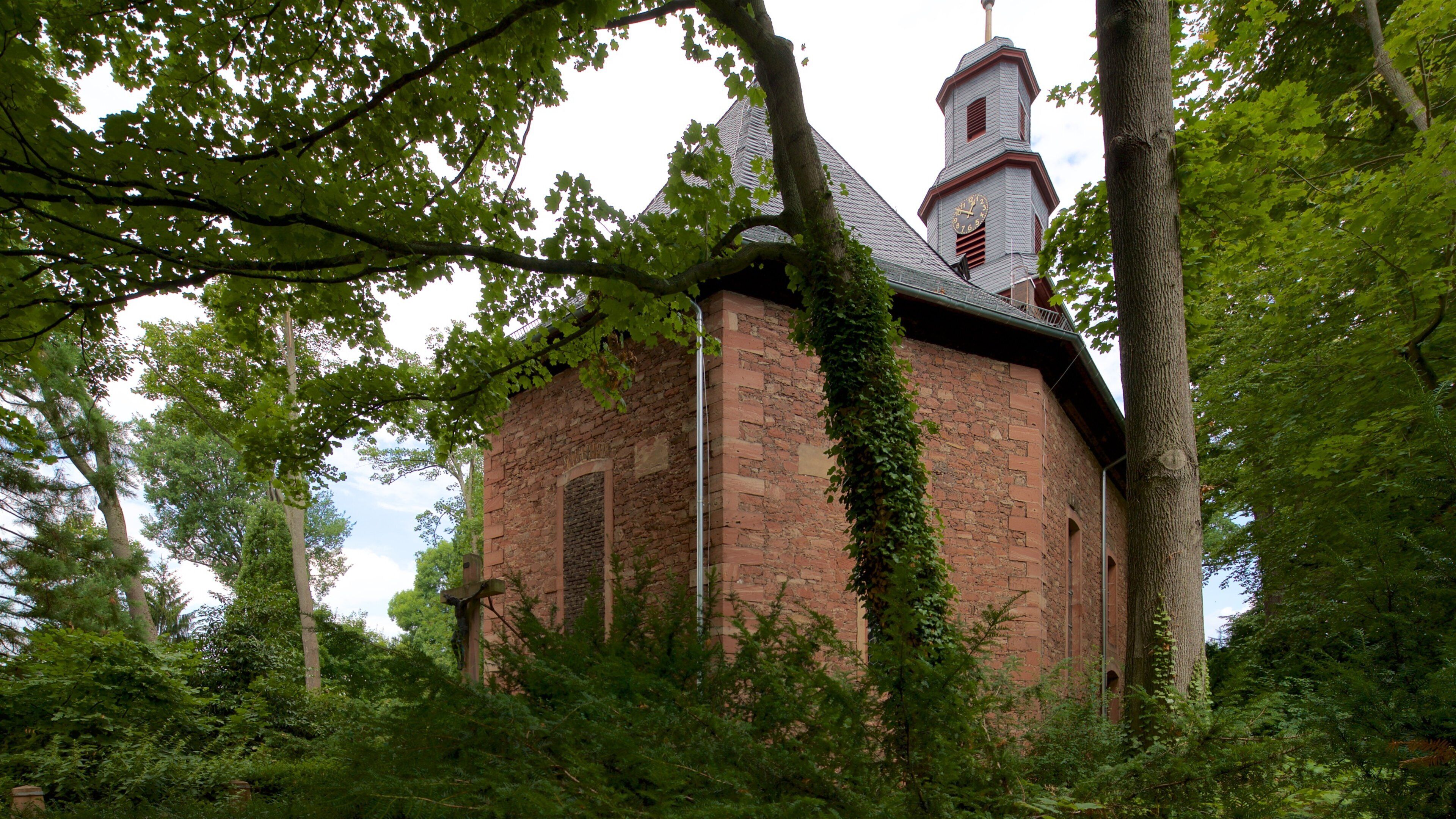 Palacio de Rumpenheim ofreciendo una iglesia o catedral, elementos del patrimonio y escenas forestales