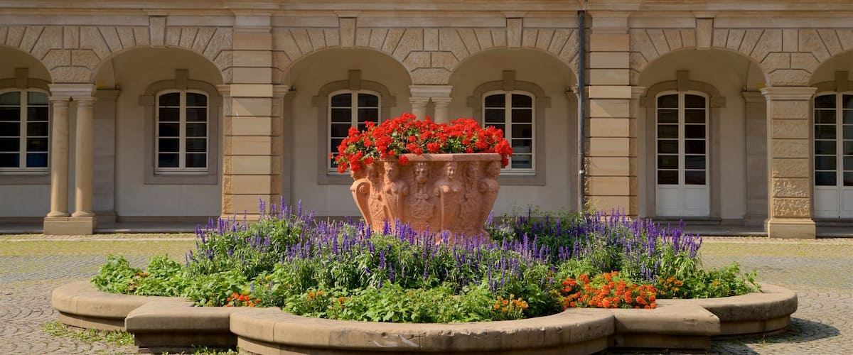 Isenburger Schloss das einen Geschichtliches und Blumen
