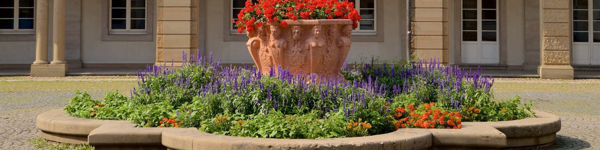 Isenburg Palace which includes flowers and heritage elements