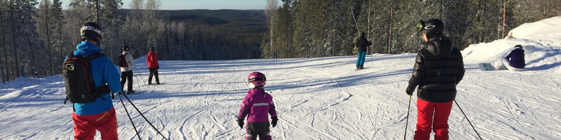 Kungsberget Ski Resort showing snow skiing, forests and snow