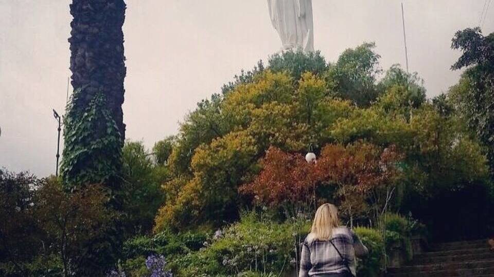 A statue on a hill with a person walking up the stairs.