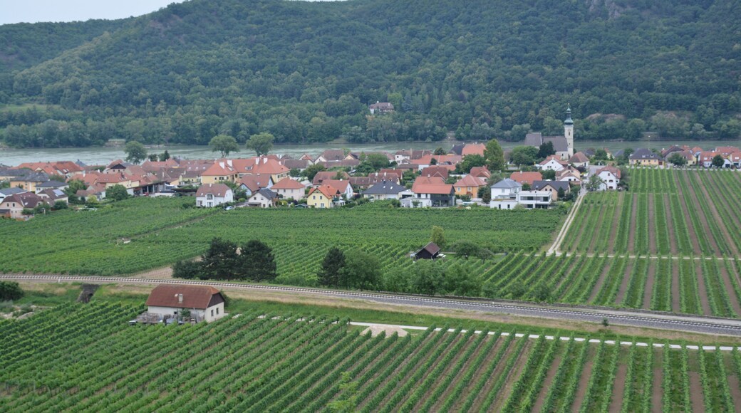 #winetasting #wachau #austria