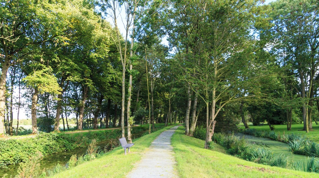 Börgtuun Westerhusen