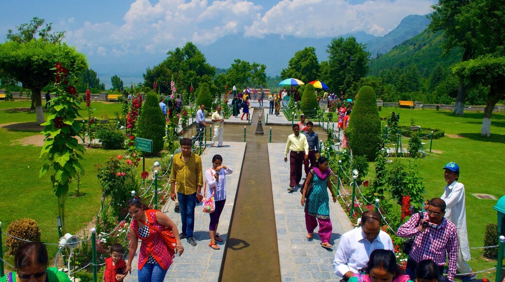 Chashma Shahi-hagen som viser park i tillegg til en stor gruppe med mennesker