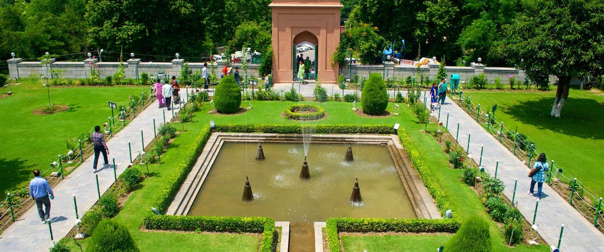 Jardín Chashma Shahi ofreciendo un jardín y una fuente