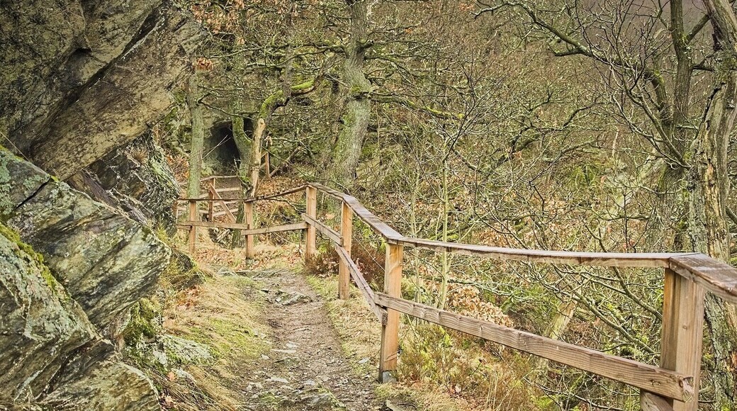 Hiking from Alexisbad to Mägdesprung along the Selke Valley.