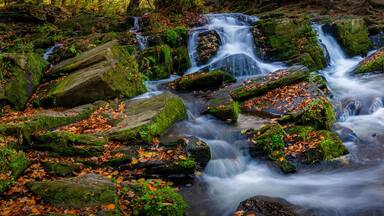 Wasserfall im Harz Wald im Herbst - Panorama