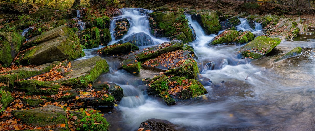A waterfall cascading over moss-covered rocks in a forested area.