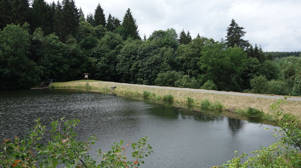 Fürstenteich is a pond in Harz region, Germany