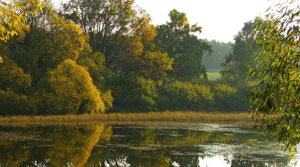 Fauler Fützenteich (Straßberg)