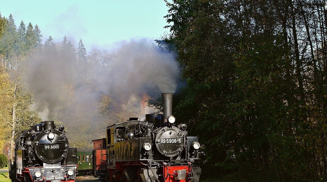 Double departure at Alexisbad ,Oct 2014.