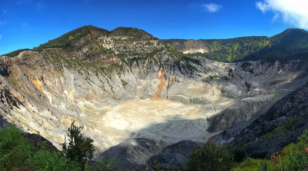 the power of #nature #lifeatexpedia