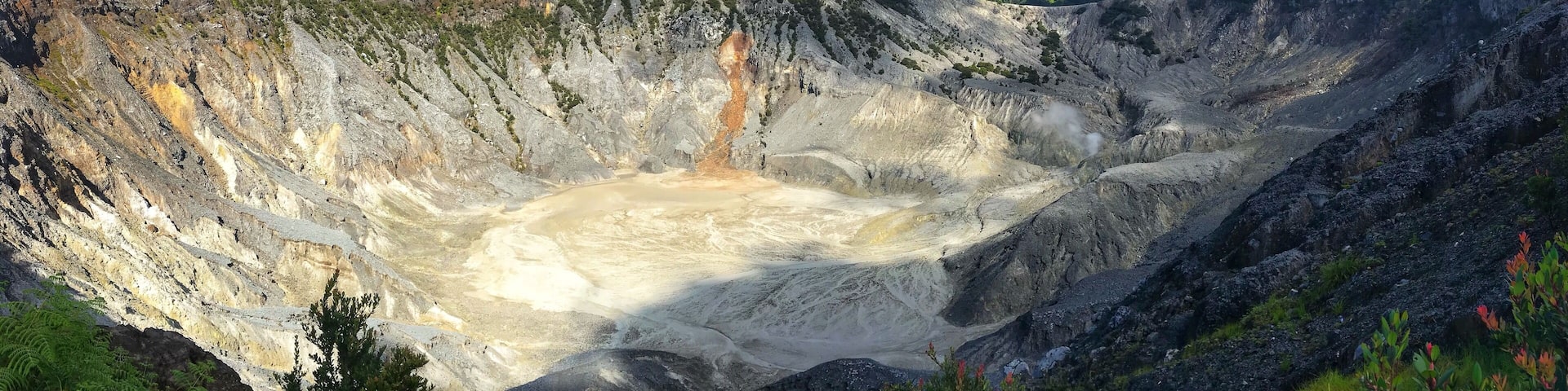 the power of #nature #lifeatexpedia