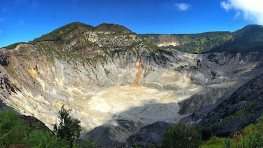 the power of #nature #lifeatexpedia