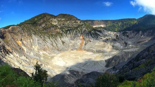 the power of #nature #lifeatexpedia