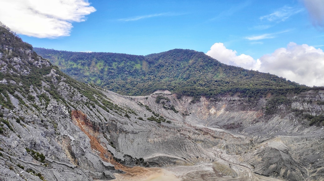 Extravagant :)
#bandung
#indonesia
#tangkubanperahu
#nature
#mountain
#lifeatexpedia
