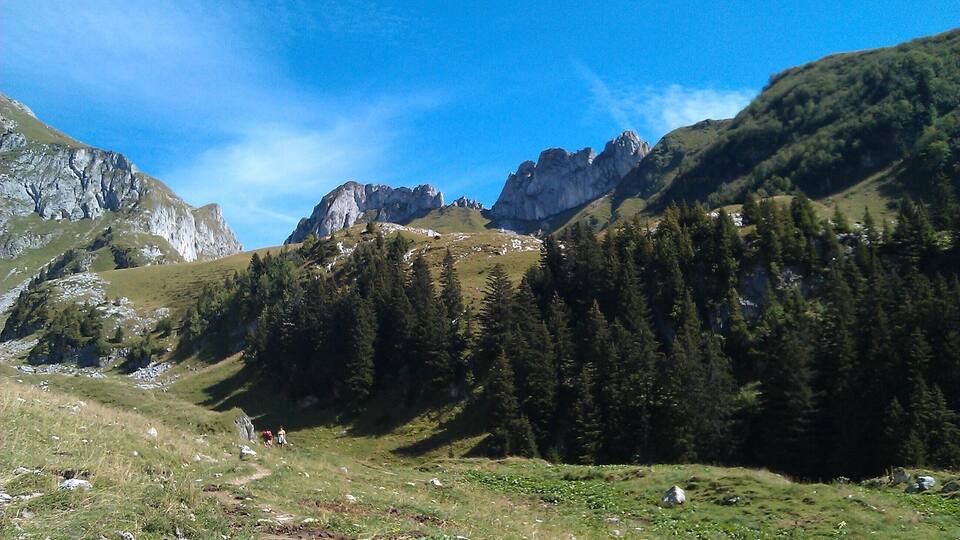 A mountainous landscape with rocky peaks, dense forests, and a clear blue sky.