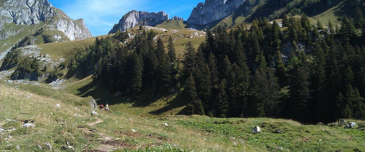 A mountainous landscape with rocky peaks, dense forests, and a clear blue sky.