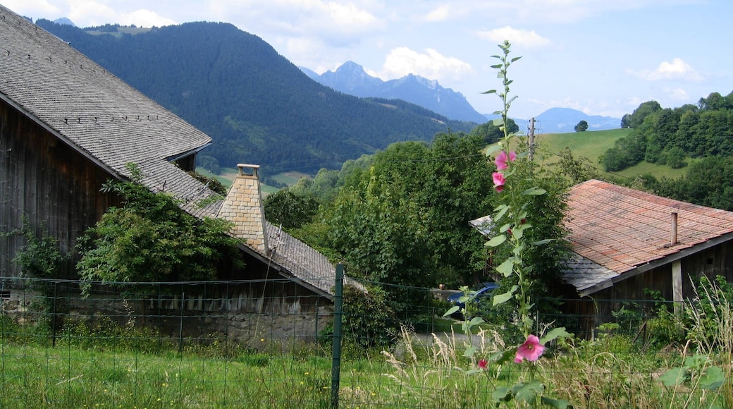 Bénand near Bernex august 2007