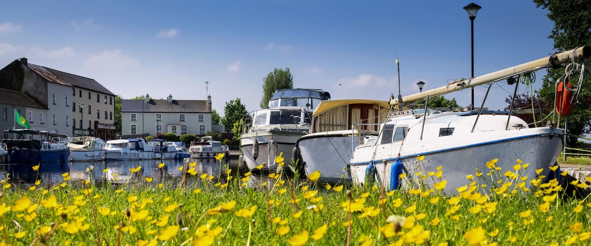 A marina with boats docked, surrounded by a field of yellow flowers and buildings in the background.