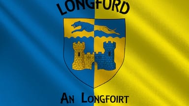 A flag with a blue and yellow color scheme, featuring a shield with a lion and castle, and the text "Longford" and "An Longfoirt".