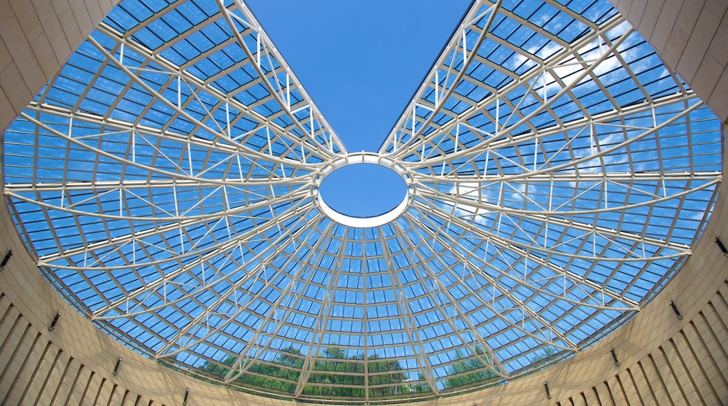 Museo di arte moderna e contemporanea mostrando vista interna