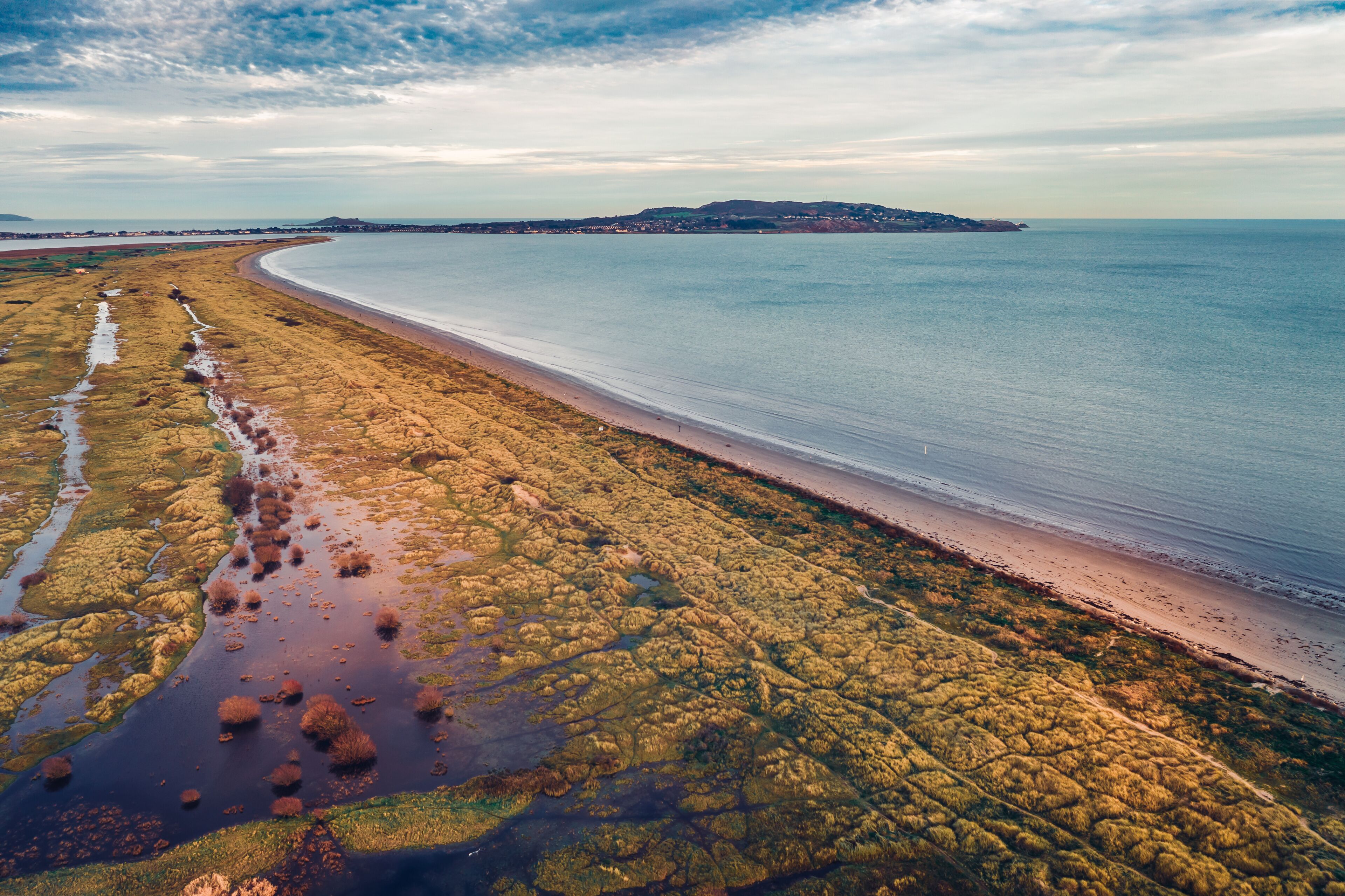 Aerial view over Bull Island shoreline revealing marram grass anchored dunes and view Howth on the horizon.
