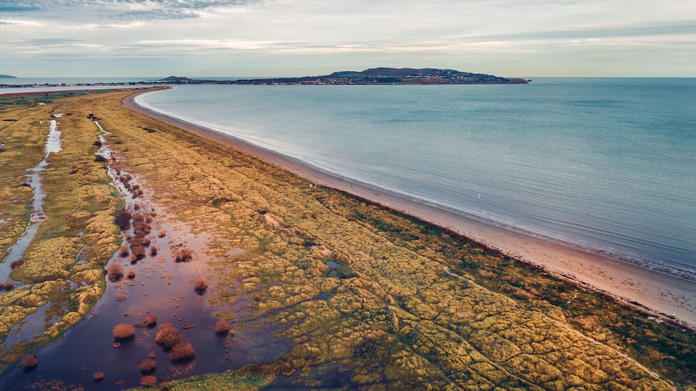 A coastal landscape with a sandy beach, rocky intertidal zone, and a distant hill.