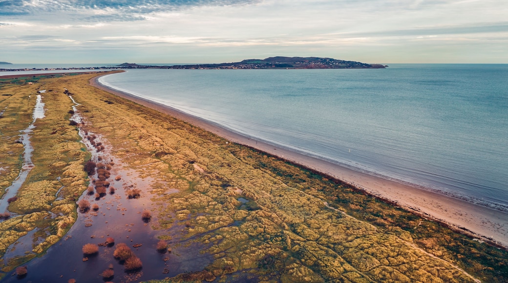 Un paysage côtier comprenant une plage de sable, une zone intertidale rocheuse et une colline située au loin.