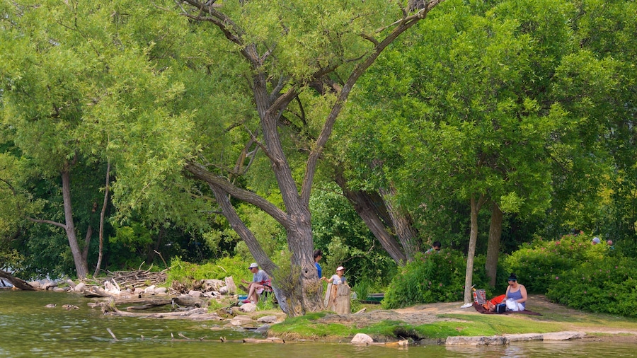 Richmond Hill showing a park and a river or creek as well as a small group of people
