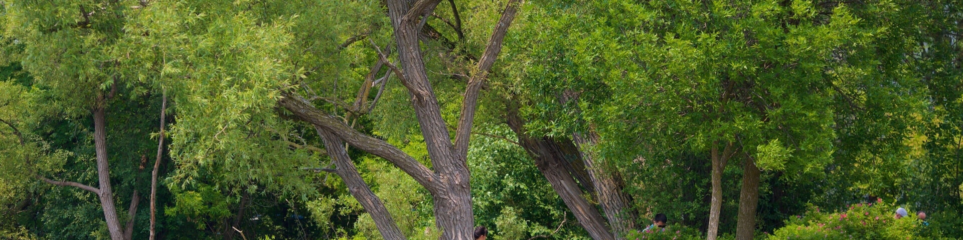 A riverbank with people sitting and standing among trees and bushes.