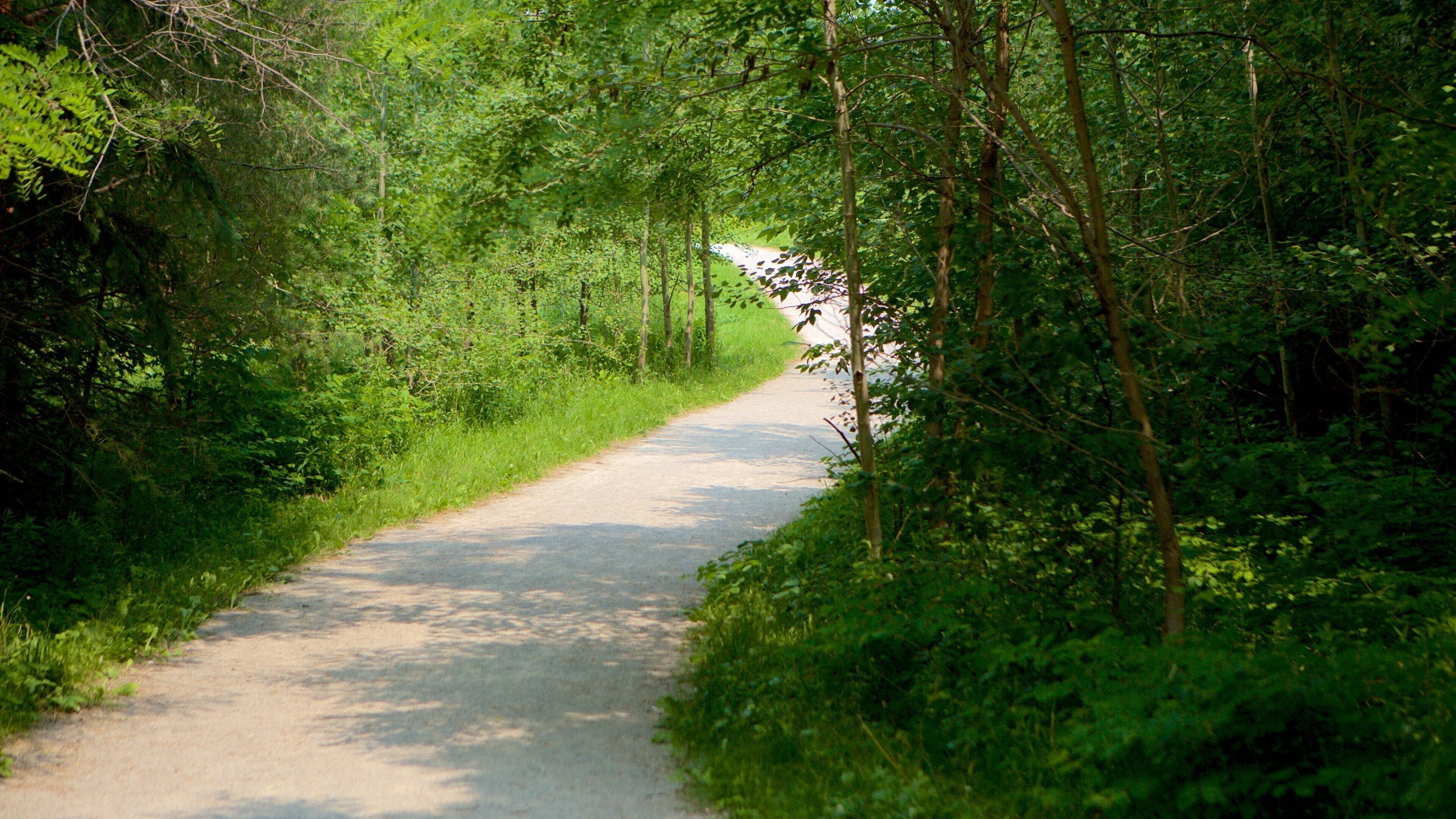 Richmond Hill