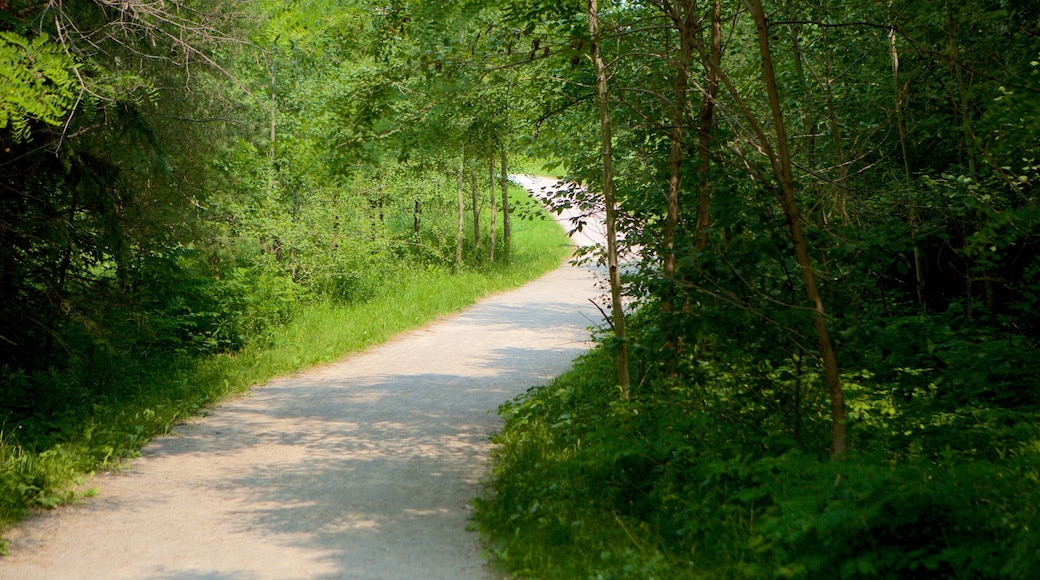 Richmond Hill