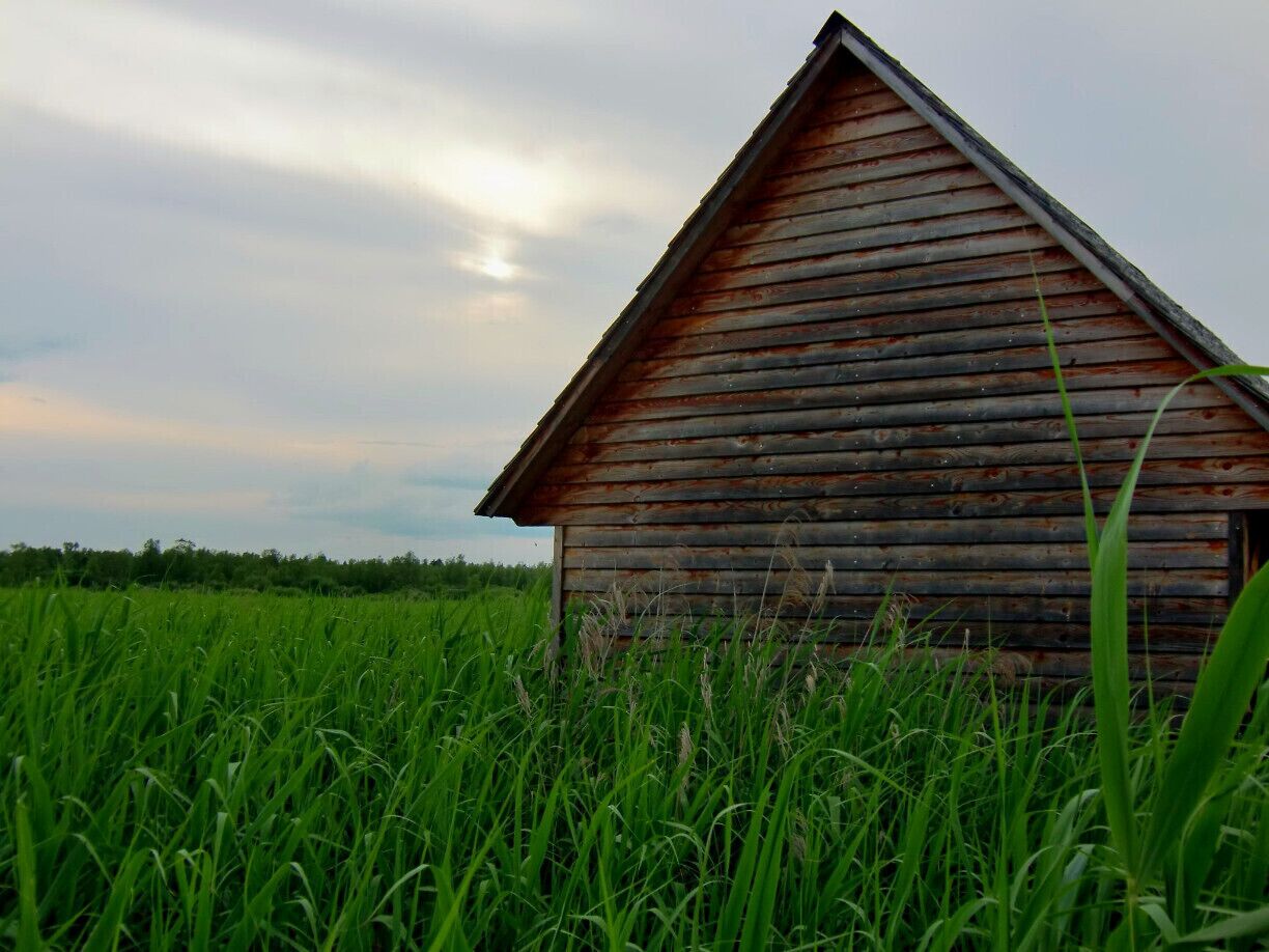 Bouncing bog at Bad Buchau