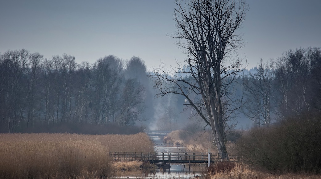 Europareservat Federsee bei Bad Buchau in Oberschwaben (NSG „Federsee“, Schutzgebiets-Nr. 4.019), in winterlicher Ruhe. Blick vom Besucherturm Richtung Westen, die Kanzach entlang. Die Kanzach ist der Hauptabfluß des Federsees; sie wurde mit einem Wehr aufgestaut, um den Wasserspiegel des Sees zu regulieren.