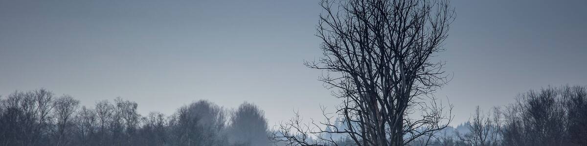Europareservat Federsee bei Bad Buchau in Oberschwaben (NSG „Federsee“, Schutzgebiets-Nr. 4.019), in winterlicher Ruhe. Blick vom Besucherturm Richtung Westen, die Kanzach entlang. Die Kanzach ist der Hauptabfluß des Federsees; sie wurde mit einem Wehr aufgestaut, um den Wasserspiegel des Sees zu regulieren.