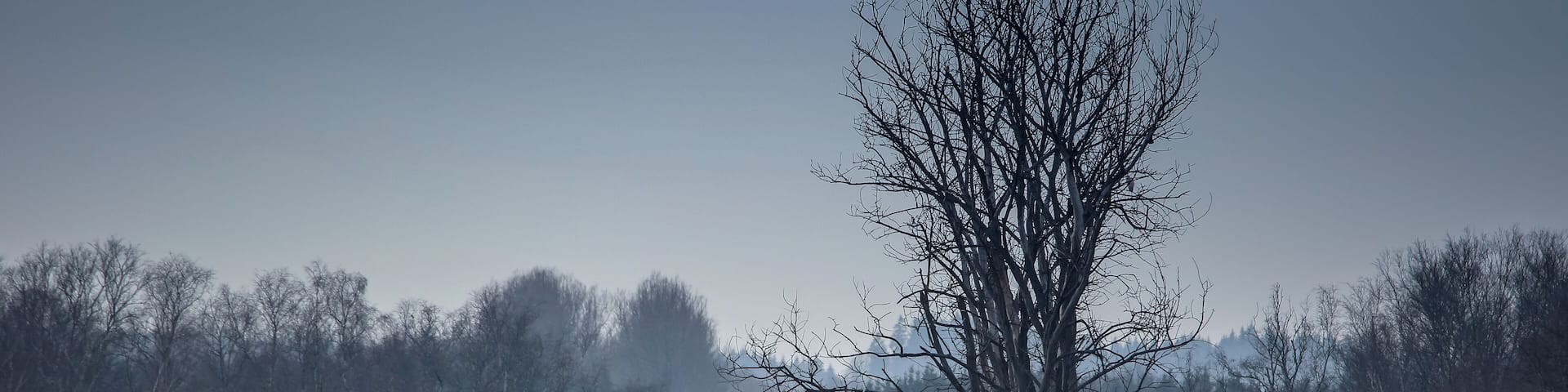 Europareservat Federsee bei Bad Buchau in Oberschwaben (NSG âFederseeâ, Schutzgebiets-Nr. 4.019), in winterlicher Ruhe. Blick vom Besucherturm Richtung Westen, die Kanzach entlang. Die Kanzach ist der HauptabfluĂ des Federsees; sie wurde mit einem Wehr aufgestaut, um den Wasserspiegel des Sees zu regulieren.
