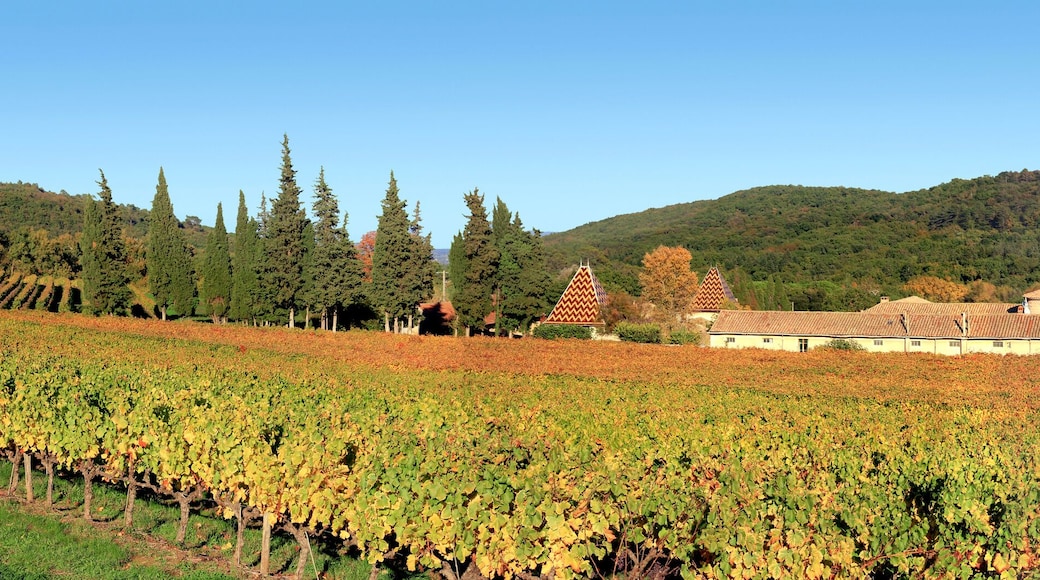 Chartreuse la Valbonne