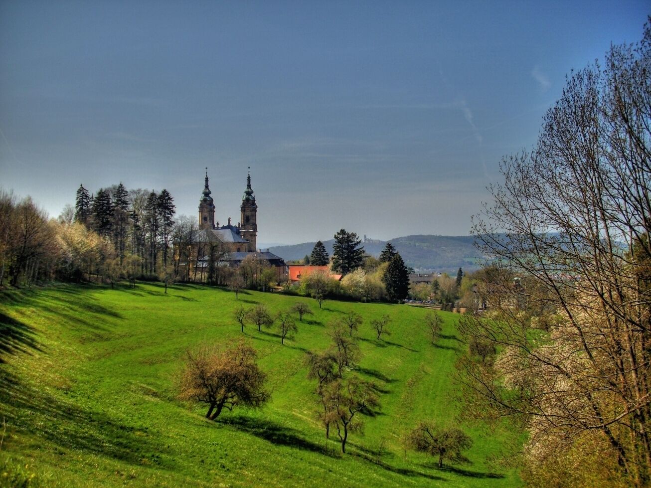 A church with two towers, a green field, and trees.