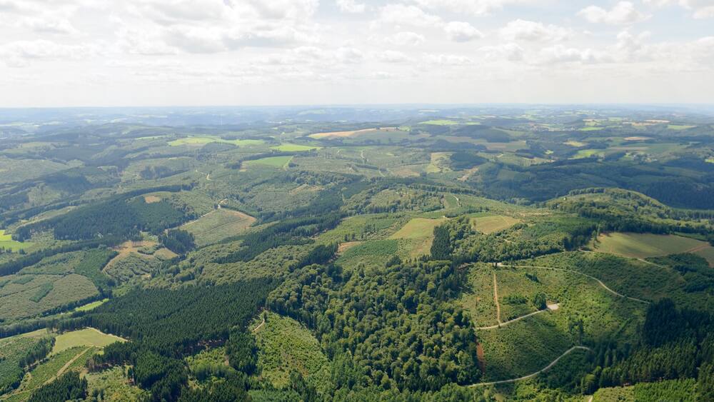 Weite Landschaft mit sanften Hügeln, dichten Wäldern und kurvenreichen Straßen.