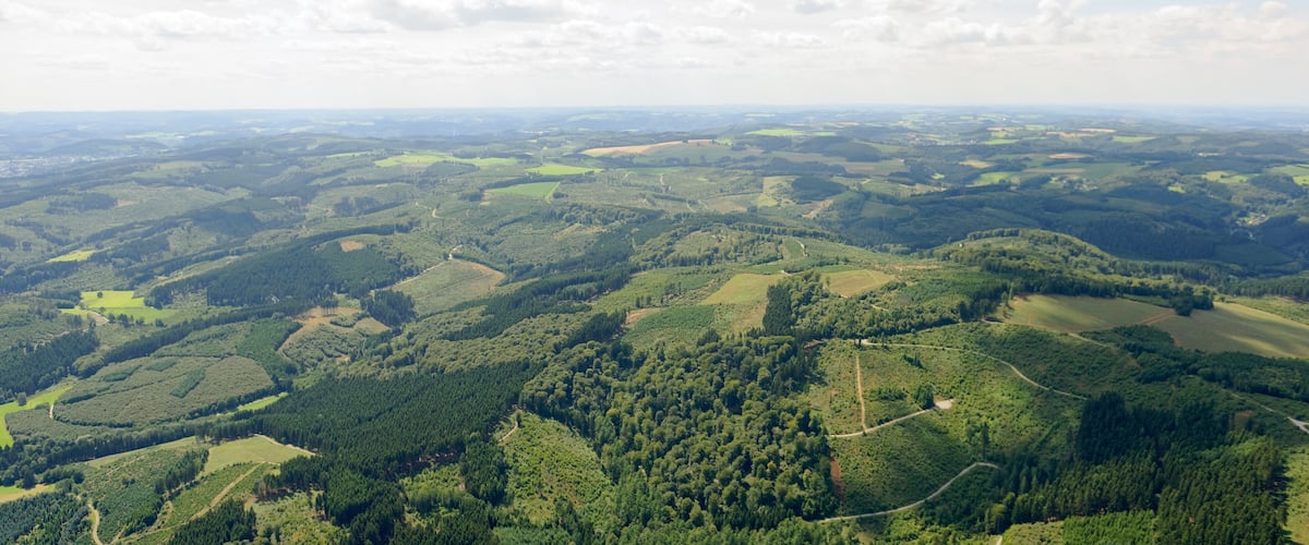 A vast landscape with rolling hills, dense forests, and winding roads.