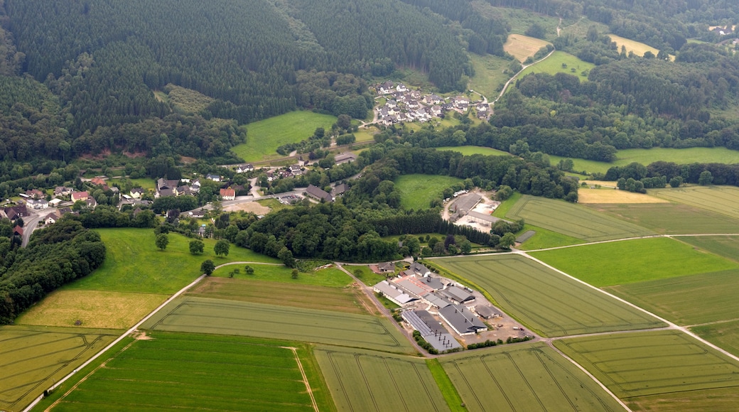 The making of this document was supported by the Community-Budget of Wikimedia Germany. To see other files made with the support of Wikimedia Germany, please see the category Supported by Wikimedia Deutschland.