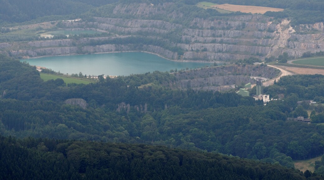 The making of this document was supported by the Community-Budget of Wikimedia Germany. To see other files made with the support of Wikimedia Germany, please see the category Supported by Wikimedia Deutschland.