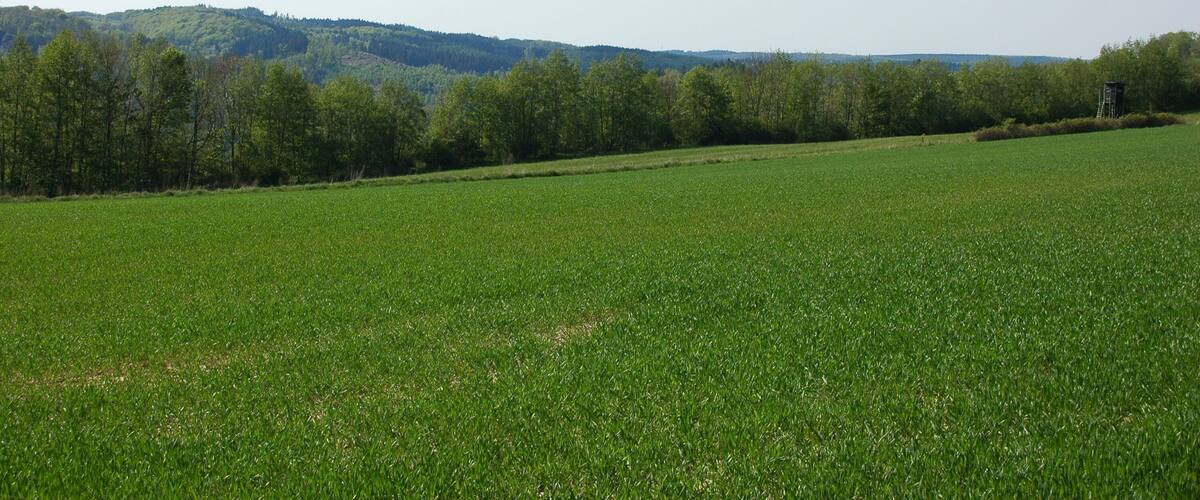 Landschaft bei Eisborn, Balve im Märkischen Kreis, Nordrhein-Westfalen