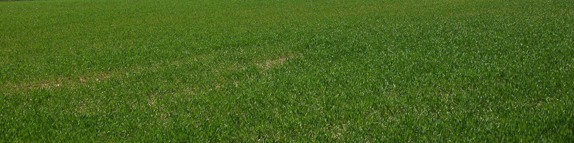 Landschaft bei Eisborn, Balve im MĂ€rkischen Kreis, Nordrhein-Westfalen