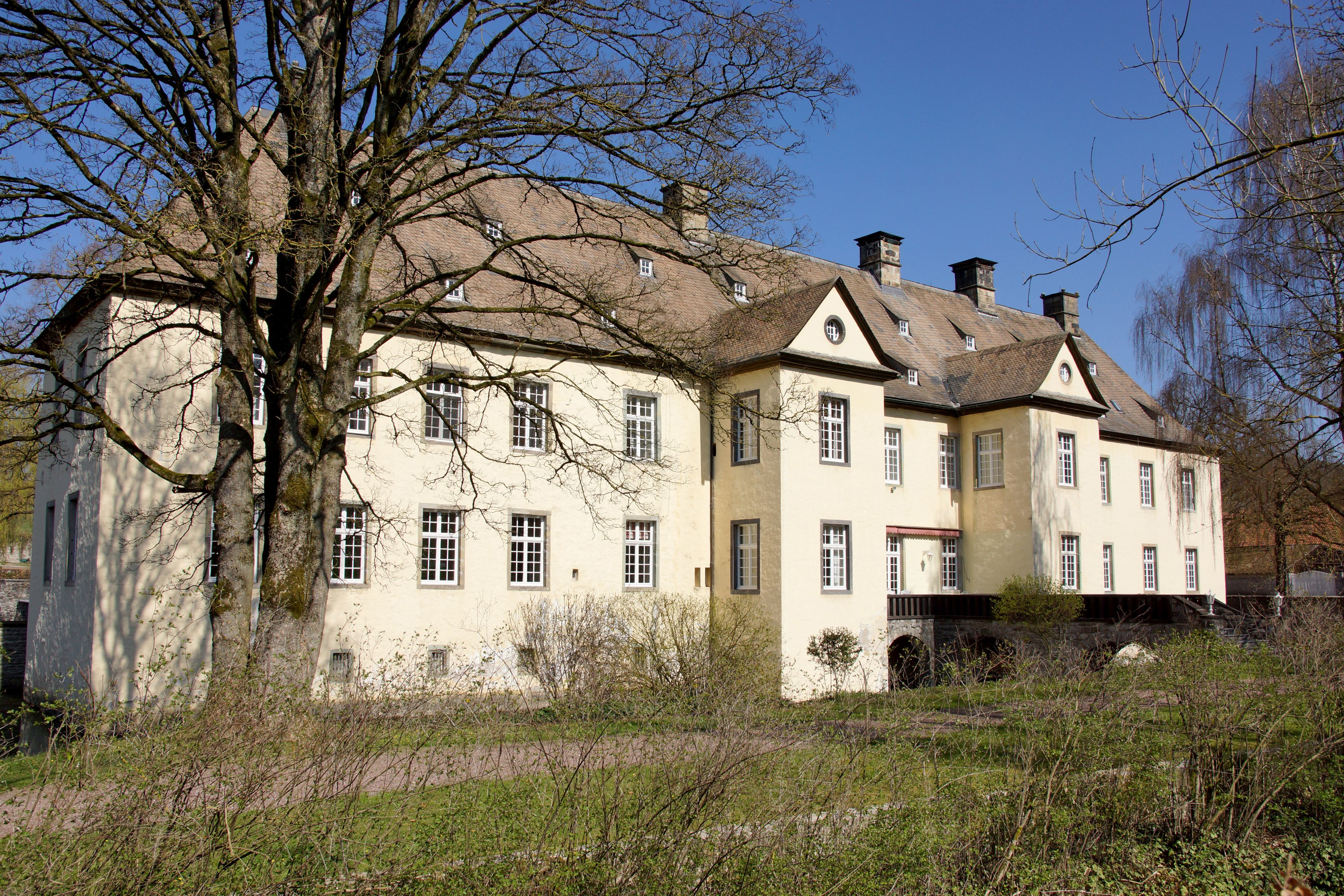 A large, historic building with multiple windows and a prominent tree in the foreground.