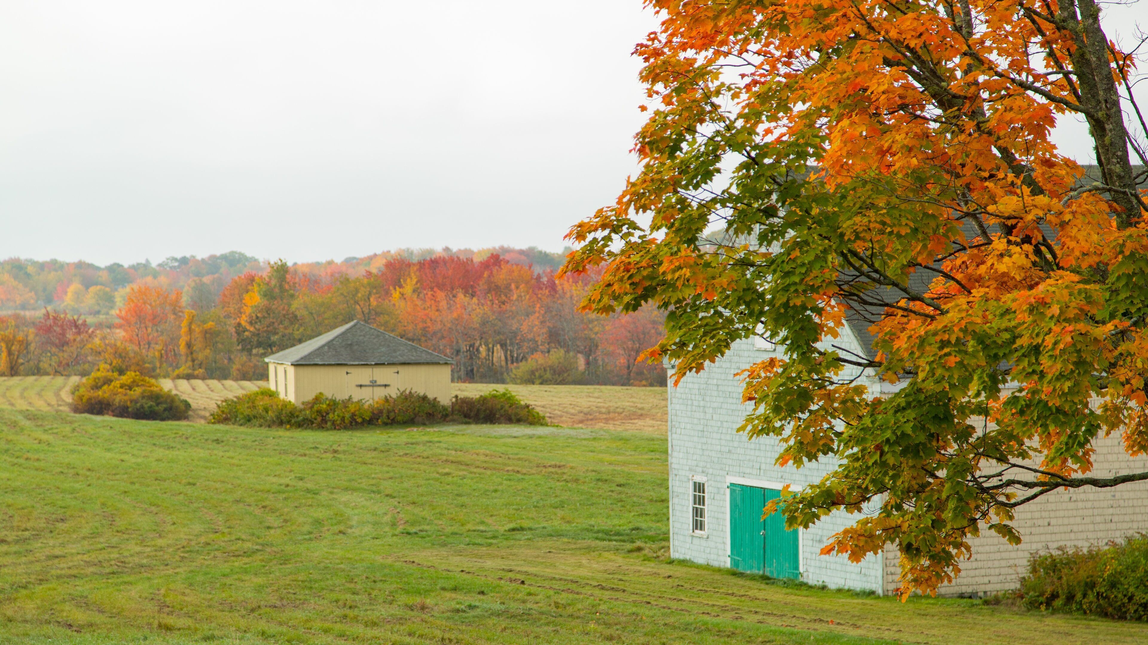 Wells Reserve at Laudholm Farms