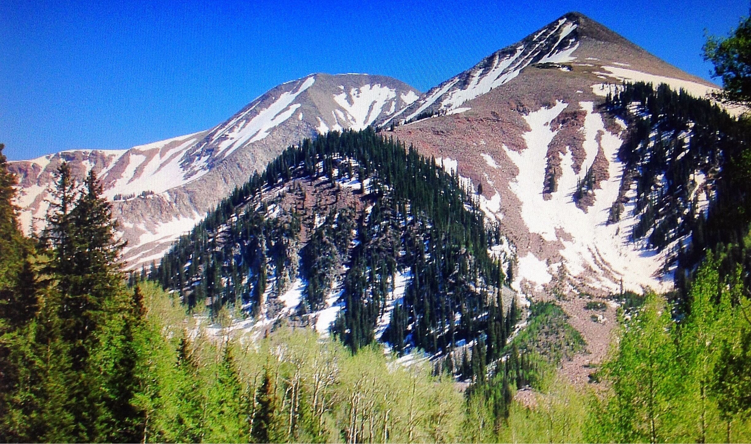 Great place to run around and explore.