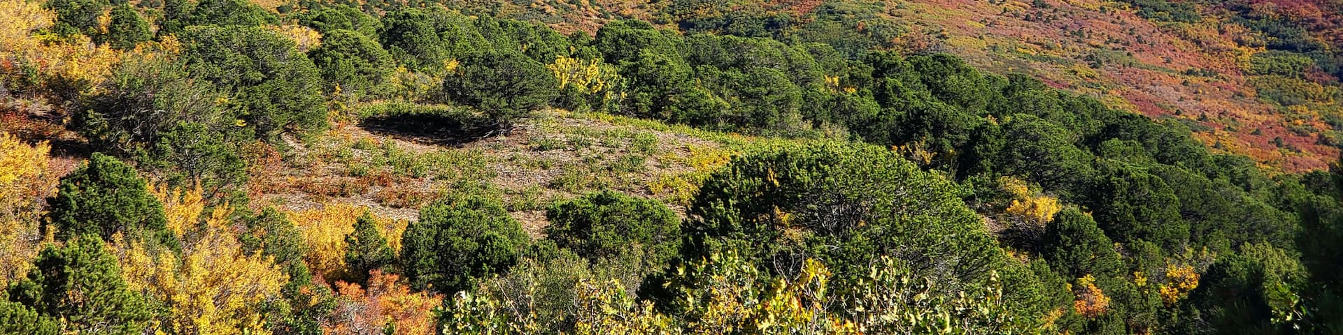 Today I had my annual reminder just how beautiful change can be ☀️❤ It's one of my favorite times of the year. It reminds me to lay down all those expectations I've been lugging around of what life is supposed to look like, and am shown how beautiful the journey is when I take a minute to look at the 360° view - not just the path that was man made by..well, me.
So often we select a destination that we are determined to get to, and by default, expectations of what that all will look like along the way. And when those pieces don't fall into place after our meticulously laid plans? We're disappointed. We don't want to sit in the ambiguity of it all. So we force answers for the sake of having answers. We become the thief of our own joy.
This week, look around. What beauty has been going unnoticed because it wasn't a part of your original map? Be without answers. Embrace all that is shifting. Let go of what was and accept what is. And know all seasons have their purpose and their beauty 🍁☀️ #hikingbootsandwholeness #creatadventure #explore #experience #change #grow #joy #aspens #gold