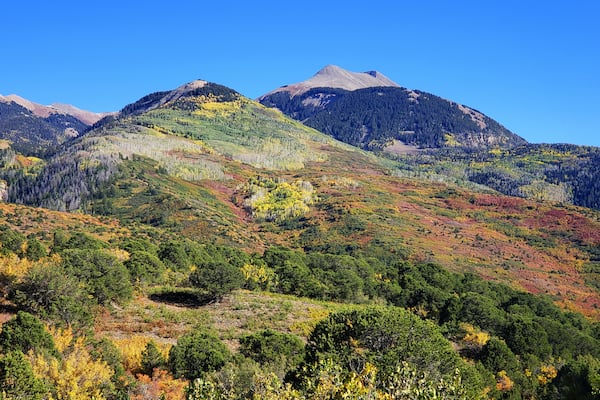 Today I had my annual reminder just how beautiful change can be âïžâ€ It's one of my favorite times of the year. It reminds me to lay down all those expectations I've been lugging around of what life is supposed to look like, and am shown how beautiful the journey is when I take a minute to look at the 360° view - not just the path that was man made by..well, me.
So often we select a destination that we are determined to get to, and by default, expectations of what that all will look like along the way. And when those pieces don't fall into place after our meticulously laid plans? We're disappointed. We don't want to sit in the ambiguity of it all. So we force answers for the sake of having answers. We become the thief of our own joy.
This week, look around. What beauty has been going unnoticed because it wasn't a part of your original map? Be without answers. Embrace all that is shifting. Let go of what was and accept what is. And know all seasons have their purpose and their beauty đâïž #hikingbootsandwholeness #creatadventure #explore #experience #change #grow #joy #aspens #gold